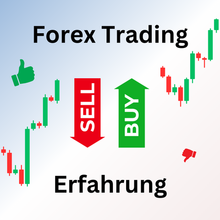 Forex Trading Erfahrung