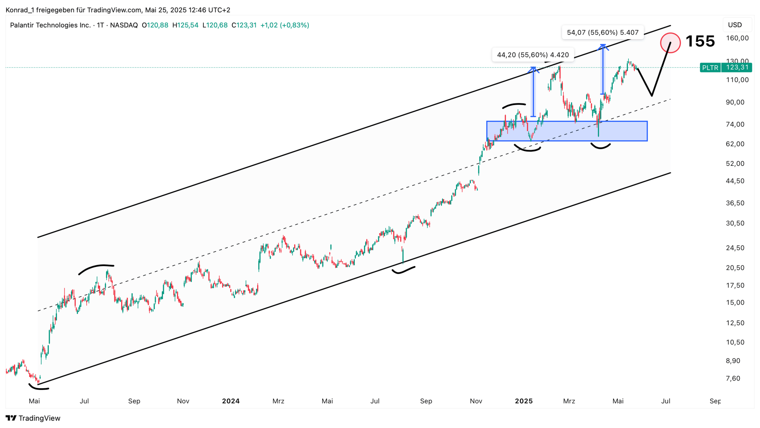 Palantir Kursziel 2025