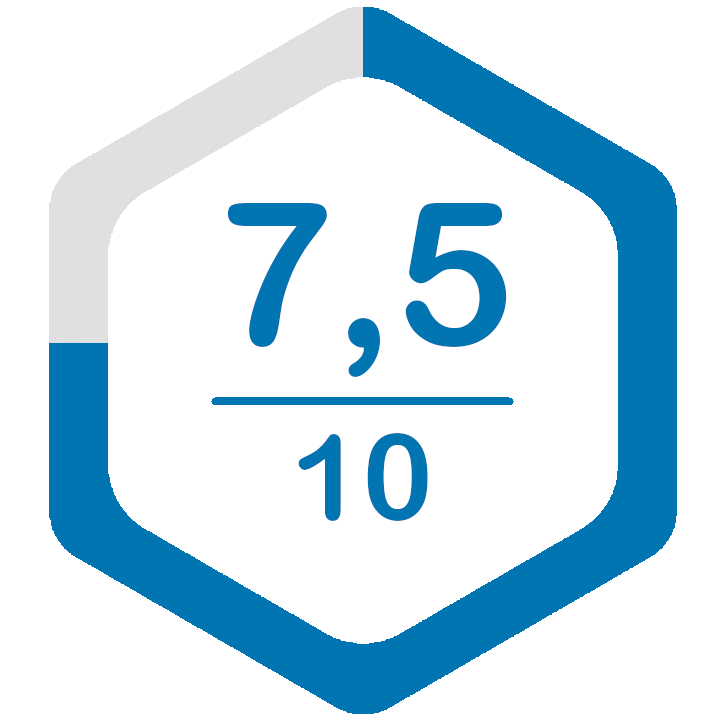 The 5%ers Gesamtbewertung